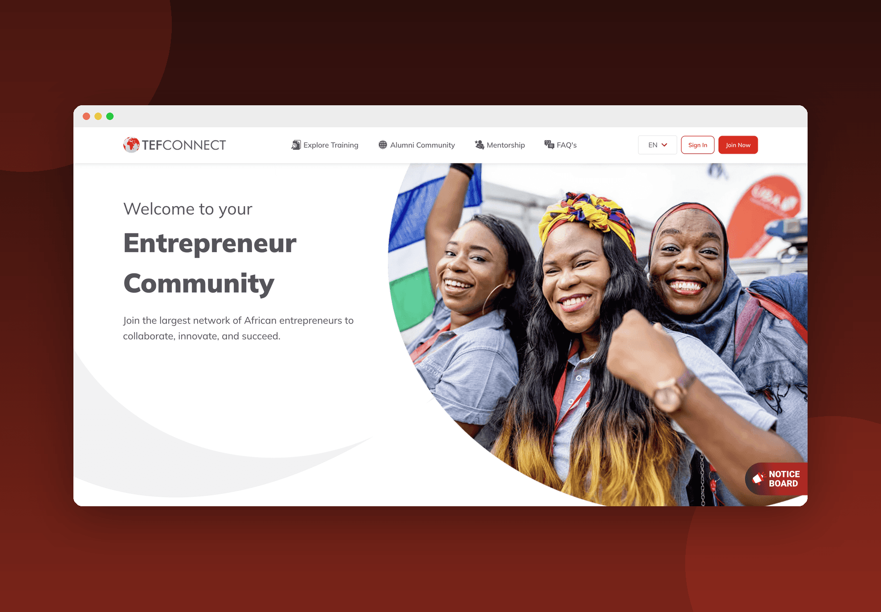 TEF Entrepreneurship Programme Platform